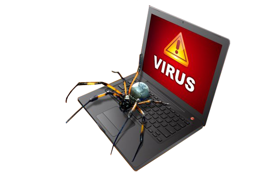 Your Virus Removal  Specialists.  Open 7 Days a Week